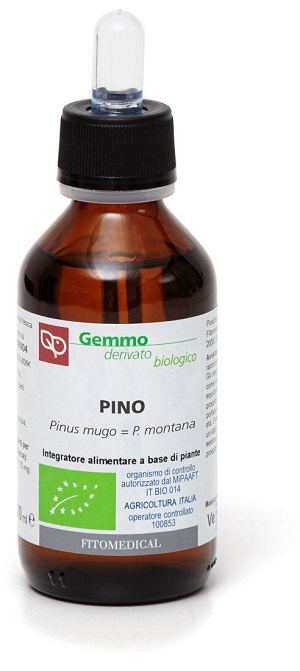 PINO MACERATO GLICERICO 100 ML BIO - Farmacia Murachelli Di Putelli dr. Giovanni