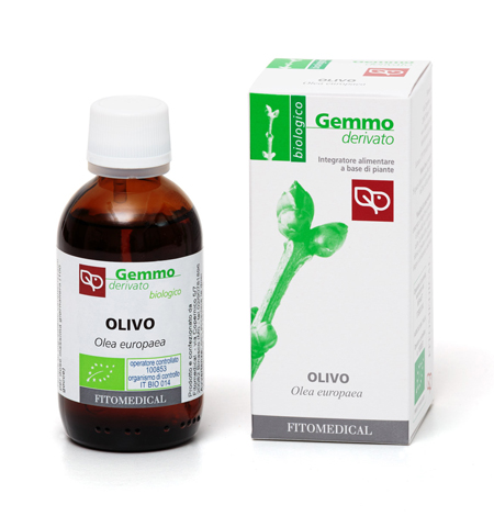 OLIVO MACERATO GLICERICO 50 ML BIO - Farmacia Murachelli Di Putelli dr. Giovanni