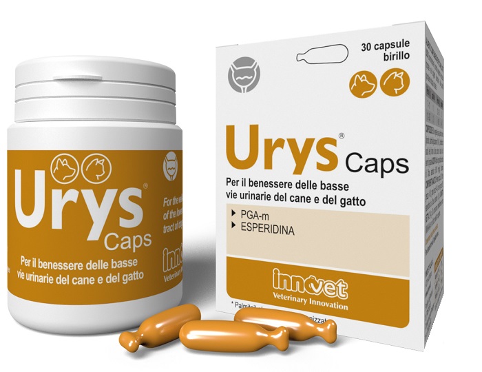 URYS CAPS 30 CAPSULE - Farmacia Murachelli Di Putelli dr. Giovanni