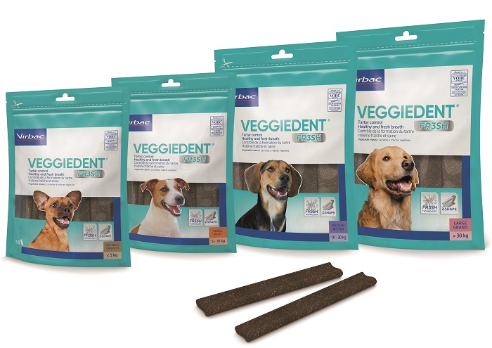 VEGGIEDENT FR3SH L 15 STICK - Farmacia Murachelli Di Putelli dr. Giovanni