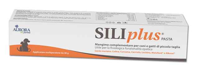 SILIPLUS PASTA 30 G - Farmacia Murachelli Di Putelli dr. Giovanni