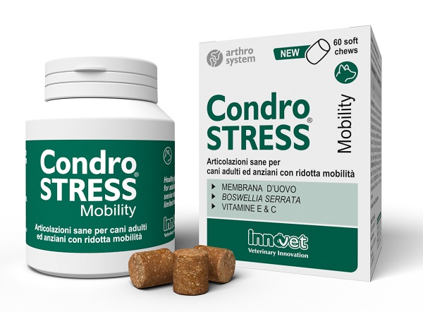 CONDROSTRESS MOBILITY 60 SOFT CHEWS - Farmacia Murachelli Di Putelli dr. Giovanni